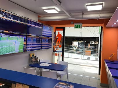 STS Zakłady bukmacherskie