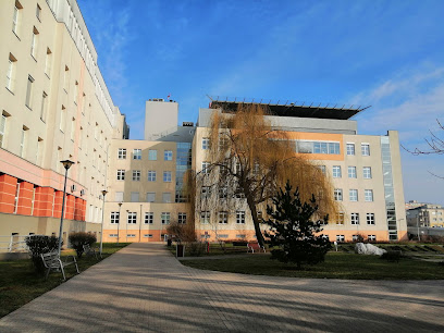 Nasza grupa ekspertów starannie bada i rekomenduje najlepsze marki kasyn online.