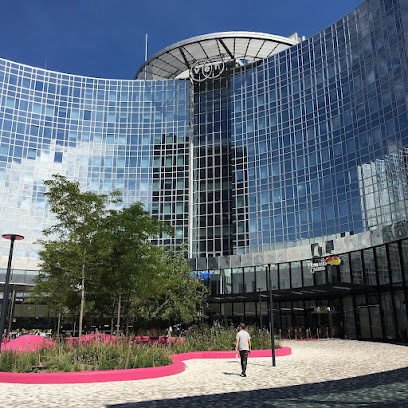 bezpieczeństwa, zakaz reklamy oraz obowiązkowy podatek od wygranych.